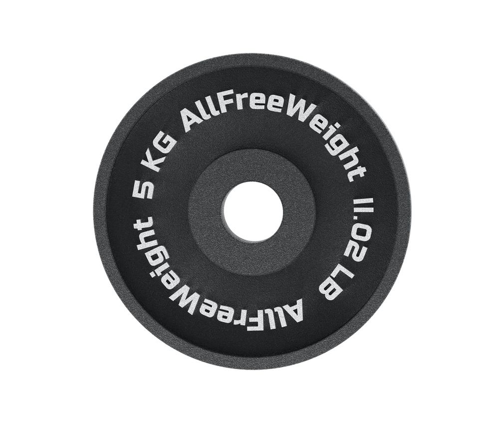 440401-5 - Disco de acero cast iron 50 kg AFW